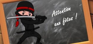 Ninja orthographe projet voltaire