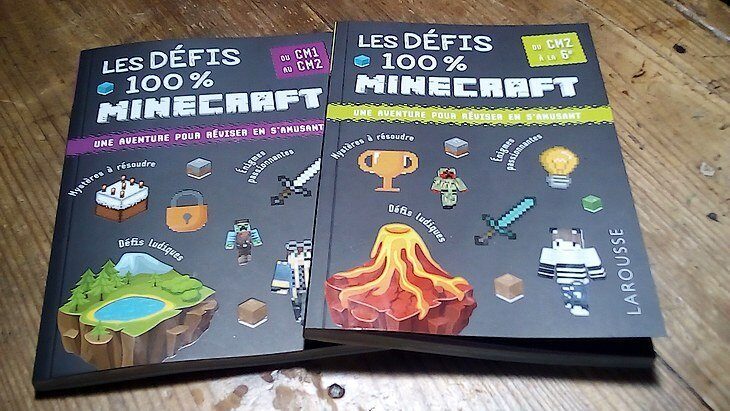 Les défis 100 % Minecraft