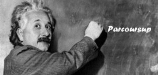 parcoursup einstein