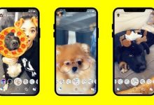 snapchat lenses chiens