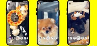 snapchat lenses chiens