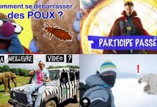 Apprendre avec YouTube #133