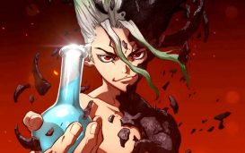 dr stone