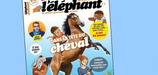 L'éléphant Junior