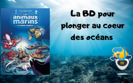 Animaux marins BD T6