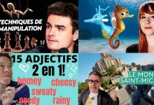 Apprendre avec YouTube #209