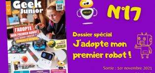 Geek Junior n°17