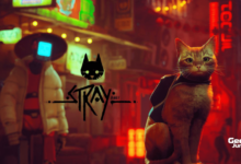 Stray