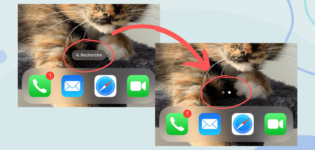 Enlever Recherche Ecran Accueil iPhone