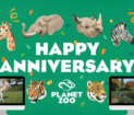 Anniversaire Planet Zoo 3 ans