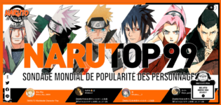 Vote meilleur personnage Naruto