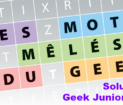 Jeu mots mêlés Geek Junior n°32