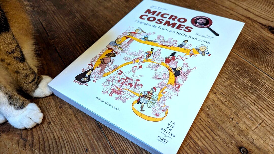 Microcosmes : l'histoire de France en BD par le ur YannToutCourt -  Geek Junior 