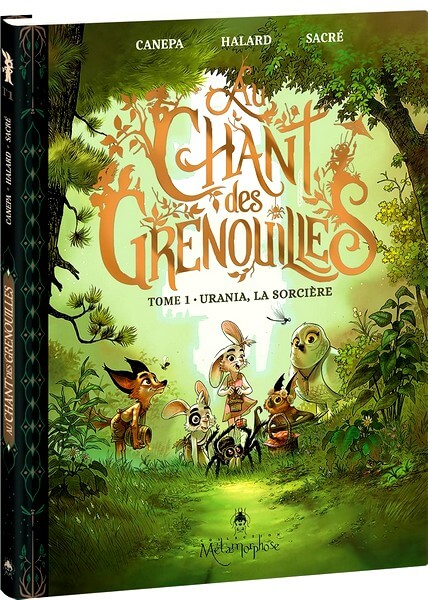 chant des grenouilles