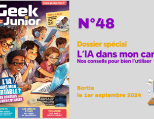 Geek Junior n°48