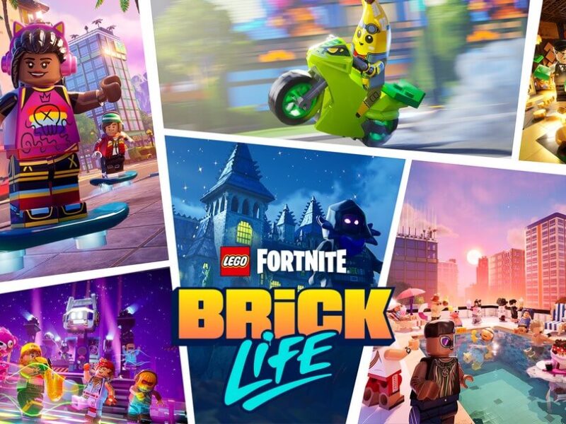 LEGO Fortnite Brick Life