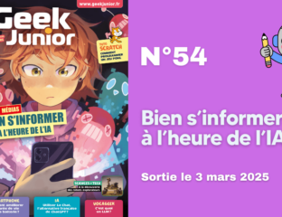 Geek Junior n°54